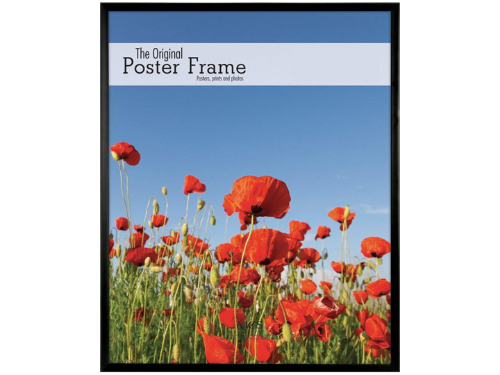 11x17 Poster Frame w/Plexi-Glass and Hardboard Backing Available in 4 Colors 